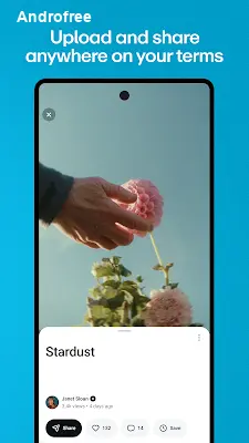 Vimeo screen 1